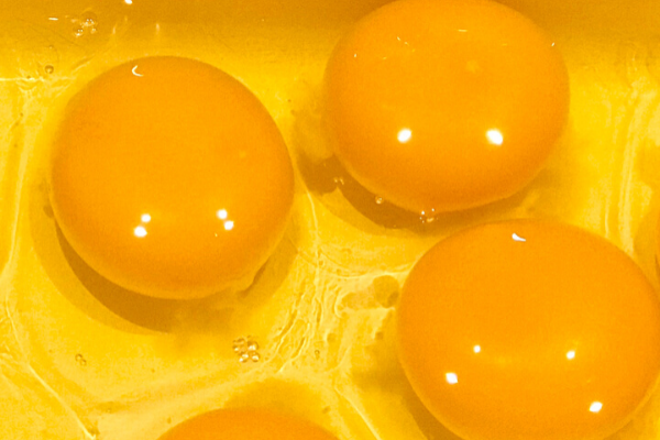 毎回出てくる卵の白いにょにょろしたもの シフォンケーキで使う卵の中 これの正体はカラザ グルテンフリーとノンオイルの米粉シフォンケーキ 専門教室konayuki 岡山県